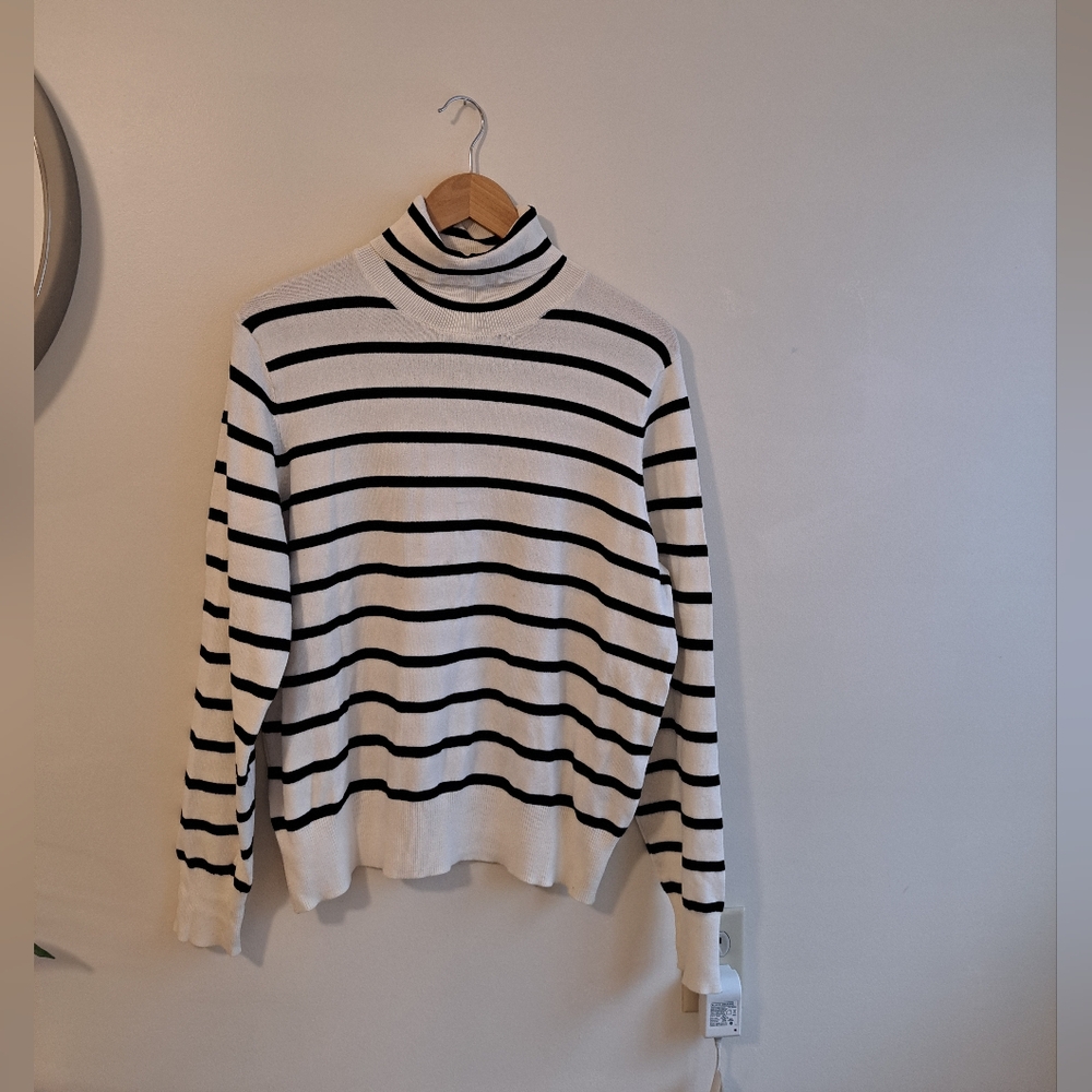 Women's Striped Turtleneck Shirt